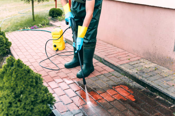 Reliable Bella Vista, AR Pressure washing Solutions